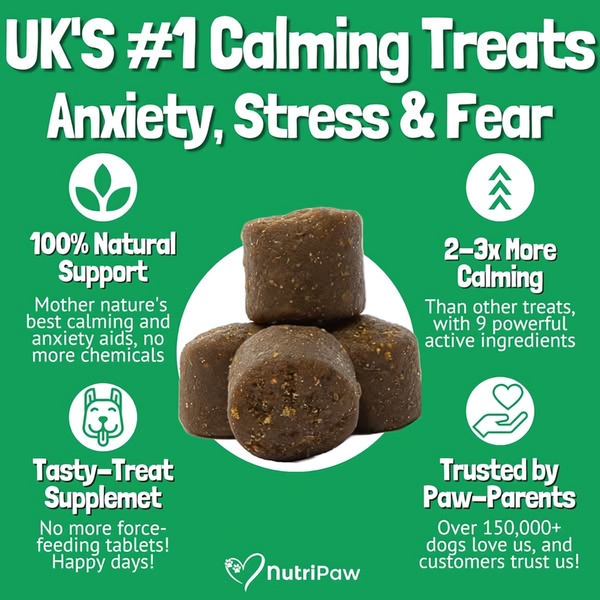 A feature-led, social-proof focused ad creative for dog calming treats that highlights primary benefits using a clean, icon-based layout on a bold green background.